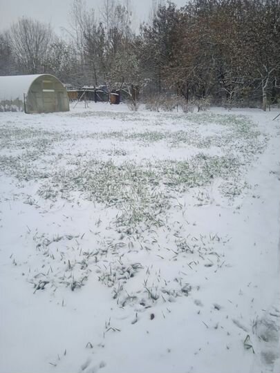 Дом 70,3 м² на участке 15 сот.