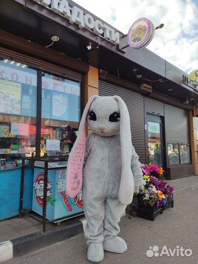 Заяц меховой ростовой костюм