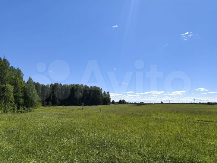 Участок 8 сот. (СНТ, ДНП)