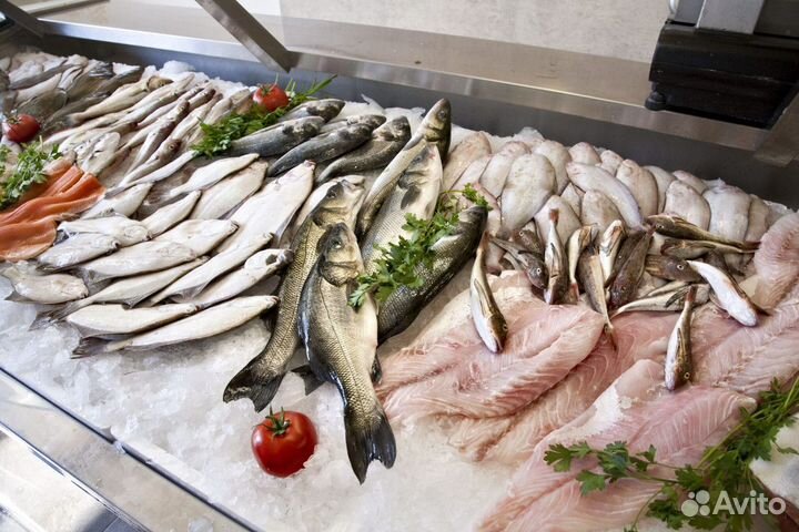 Продажа действующего рыбного магазина