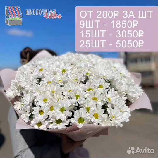 Хризантемы кустовые. Букеты с доставкой в Улан-Удэ