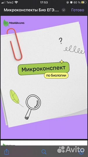 Микроконспекты по биологии