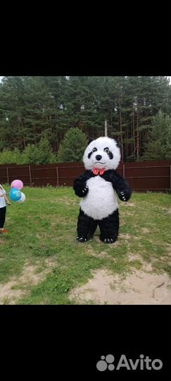 Поздравление бурого медведя