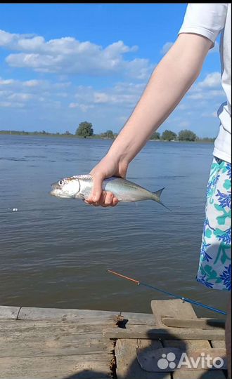 Рыбалка в Астрахани