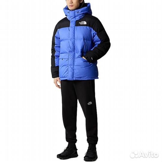 THE north face Urban Exploration Down Jacket Men Blue (M)(32)