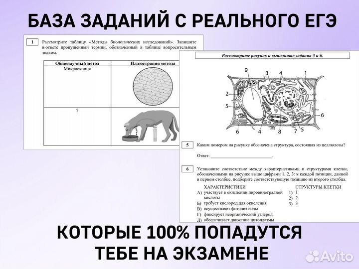 Опытный репетитор по биологии Смоленск