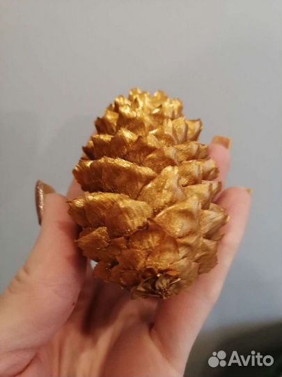 Шишки еловые крашенные