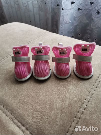 Обувь для собак на лето