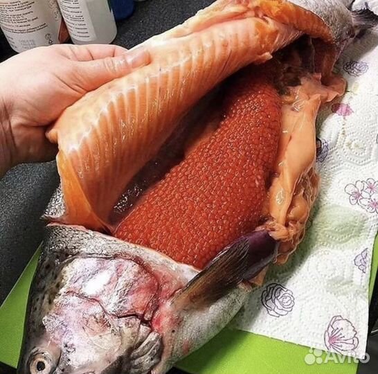 Охлажденная форель