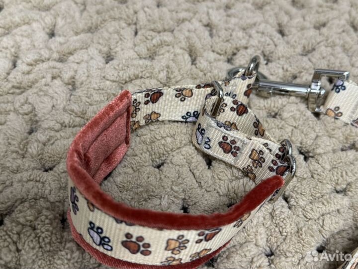 Ошейник-мартингейл с поводком для щенка