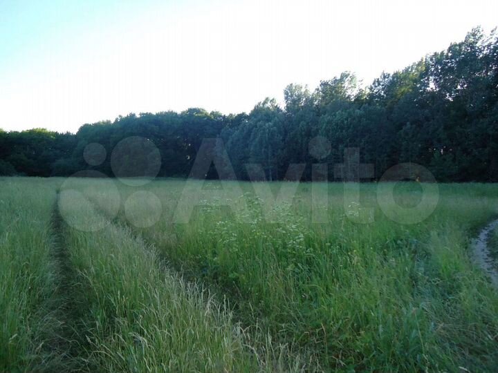 Участок 15 сот. (ИЖС)