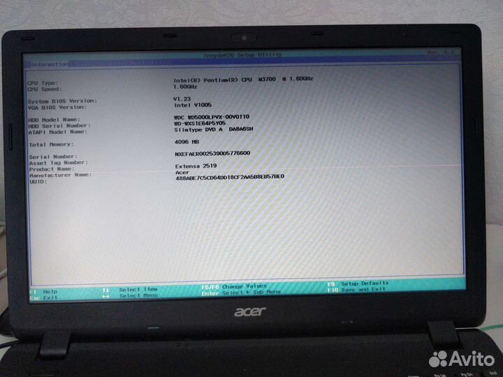 Acer extensa 2519