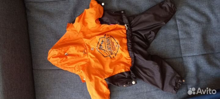 Комбинезон осенний для собак мелких пород(мальчик)