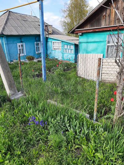 Дом 29,5 м² на участке 21 сот.