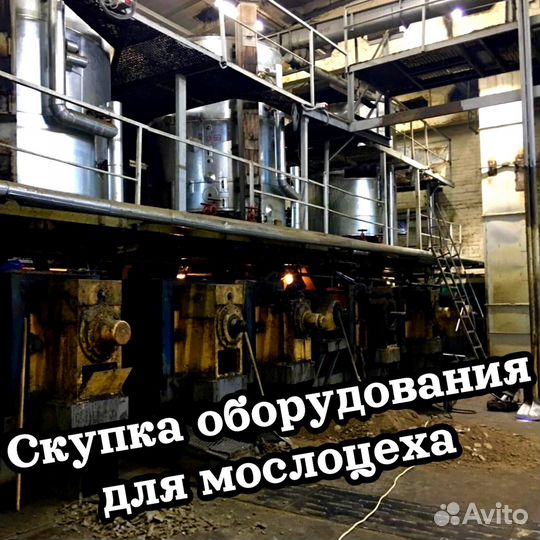 Скупка оборудования для маслоцеха и маслозавода
