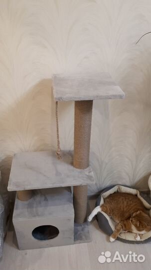 Домик для кошки с когтеточкой
