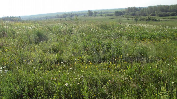 Участок 8,6 га (СНТ, ДНП)