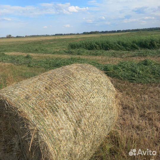 Сено в рулонах 2023