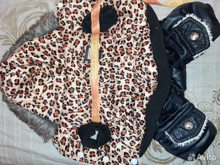 Одежда для маленьких собак