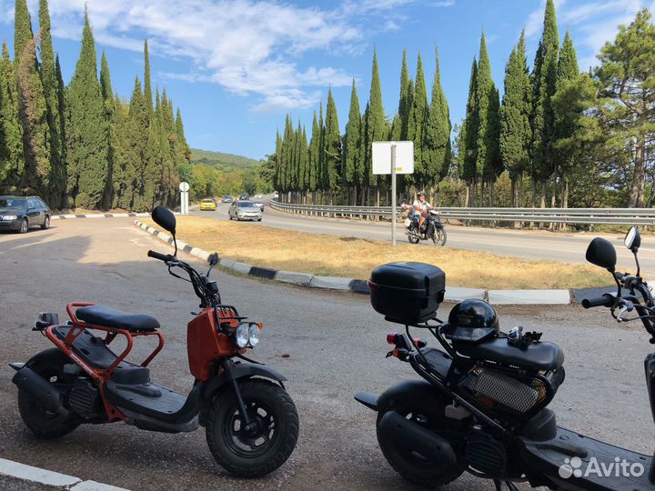 Honda Zoomer 50