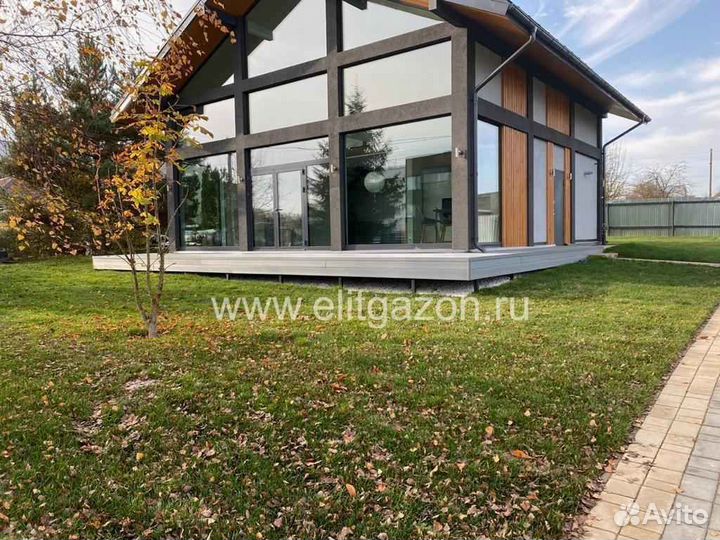 Продажа рулонного газона