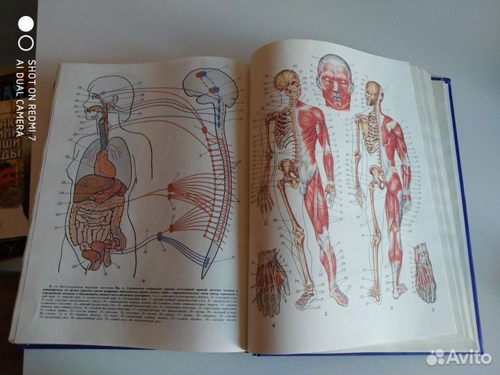 Книга популярная медицинская энциклопедия