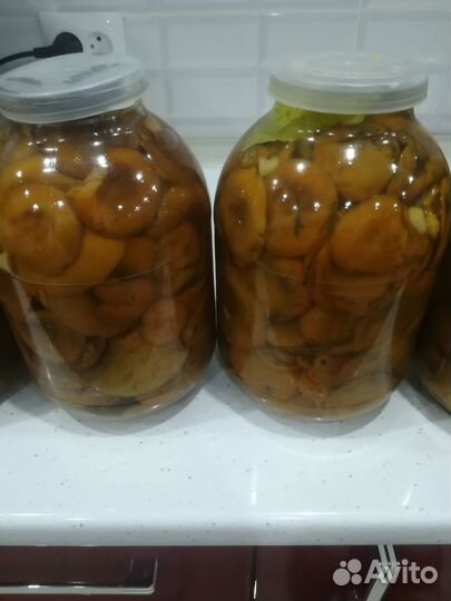 Продам солёные грибочки