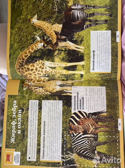 Большая 3D энциклопедия 