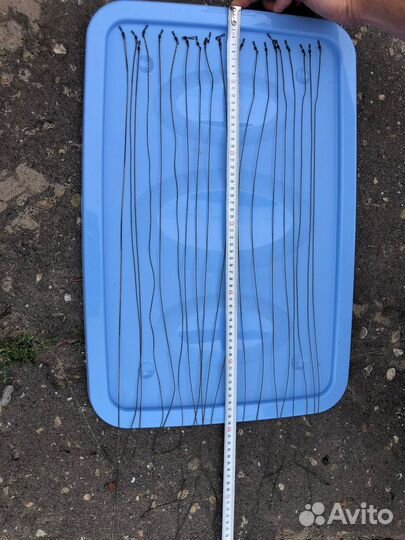 Карповые ледкоры