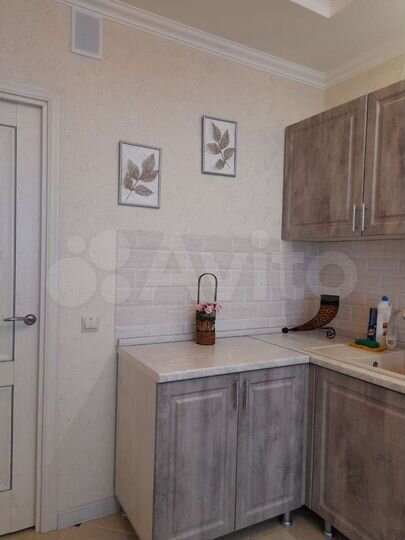 1-к. квартира, 50 м², 17/17 эт.