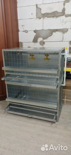 Клетки для домашней птицы