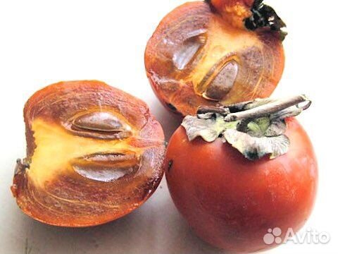 Саженцы хурмы Шоколадная