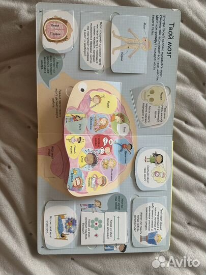 Энциклопедия для детей тело человека