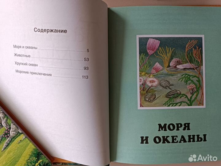 Книга «Тайны моря»