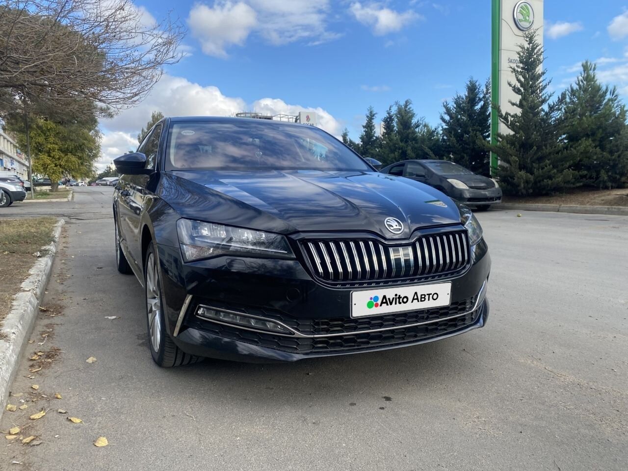 Skoda Superb: фото владельца