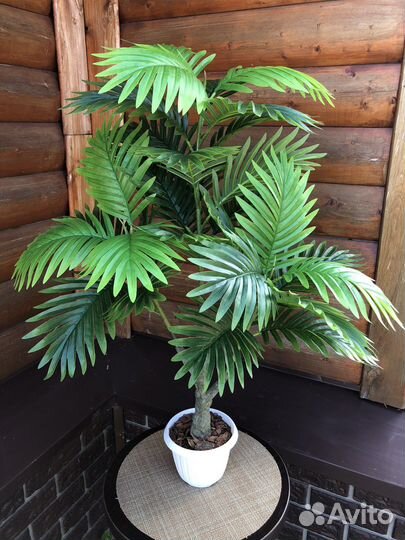 Фикус лирата, пальма искусственная