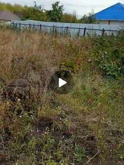 Участок 6,2 сот. (СНТ, ДНП)