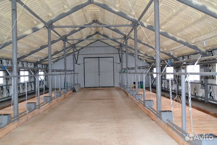 Реконструкция коровника, Строительство коровника