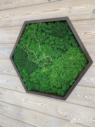 Соты из стабилизированного мха