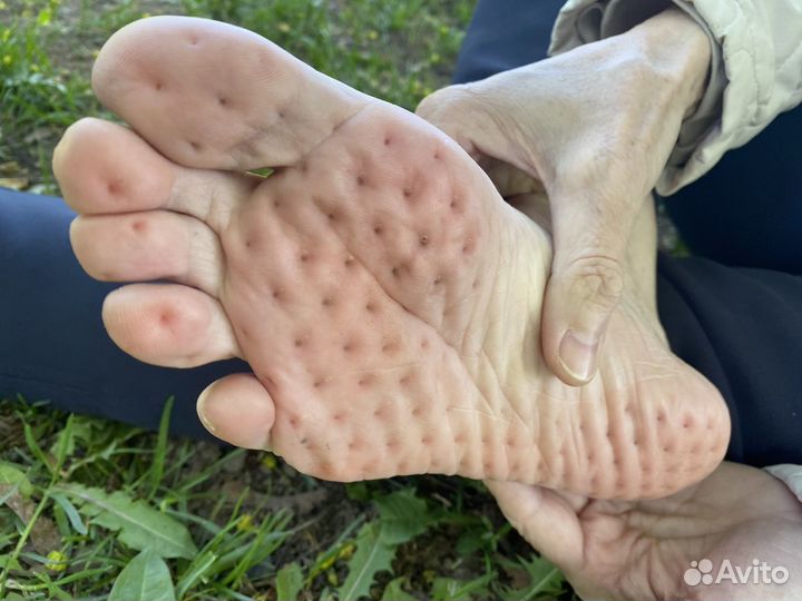 Гвоздестояние