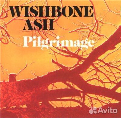 Виниловые пластинки Wishbone Ash фирменные