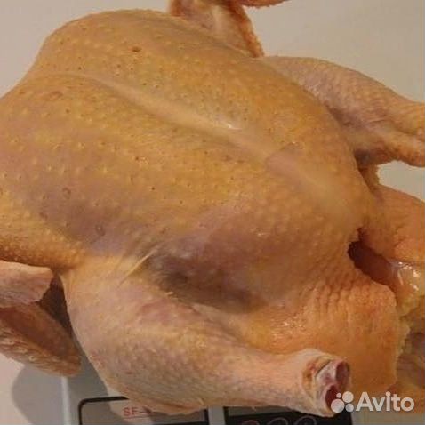 Мясо курицы бройлер домашней
