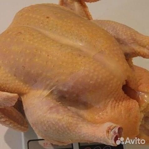 Мясо курицы бройлер домашней