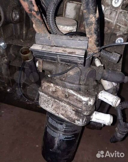 Радиатор масляный Volkswagen Golf 4 1999