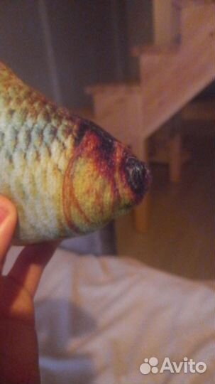 Друг для рыбалки