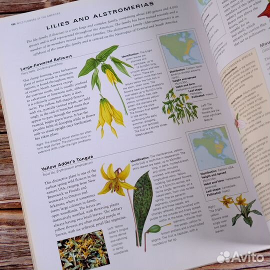 Винтажная книга о природе цветы