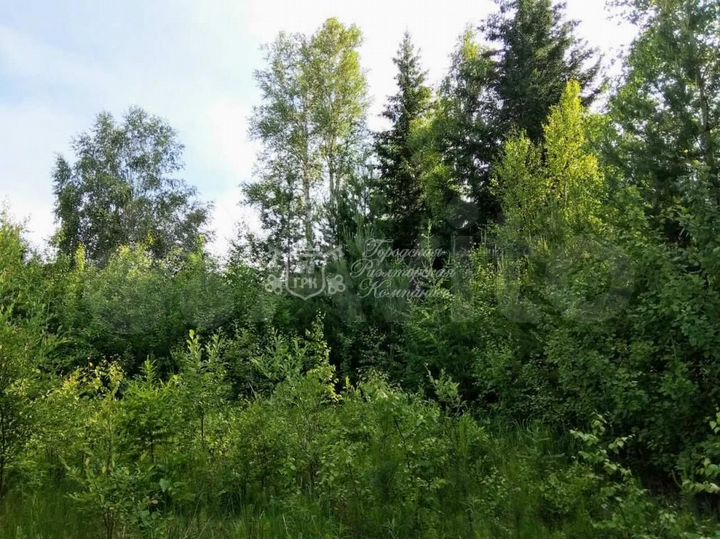 Участок 10 сот. (СНТ, ДНП)