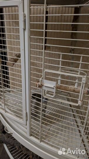 Клетка для крупного попугая Kredo A13