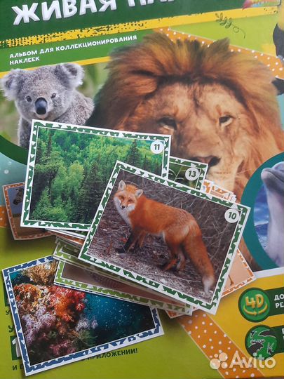 Наклейки Живая планета (Пуд)