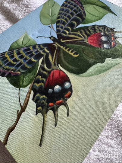 Картина с бабочкой